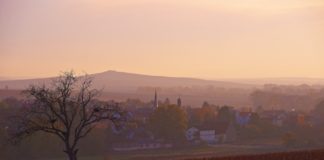 Hommage ans Land der 1.000 Hügel – Gallé liest aus „Rheinhessen – Himmel und Erde“