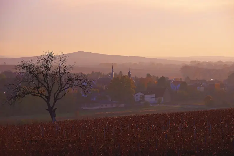 Herbstliche Landschaft bei Gabsheim
