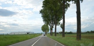 Rheinhessenstraße: Fahrbahnsanierung beginnt – Vollsperrung ab Freitag, 13. Juli 2018, 20.00 Uhr – Drei Kilometer neun Tage lang dicht
