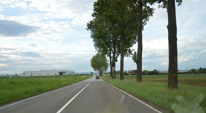 Rheinhessenstraße: Fahrbahnsanierung beginnt – Vollsperrung ab Freitag, 13. Juli 2018, 20.00 Uhr – Drei Kilometer neun Tage lang dicht