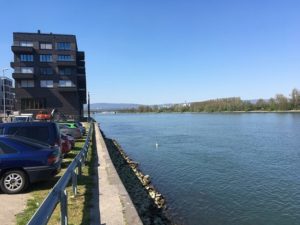 Ein ölig-silbriger Schmutzfilm wurde am Freitag auf dem Rhein in Höhe des Zollhafens entdeckt. - Foto: gik