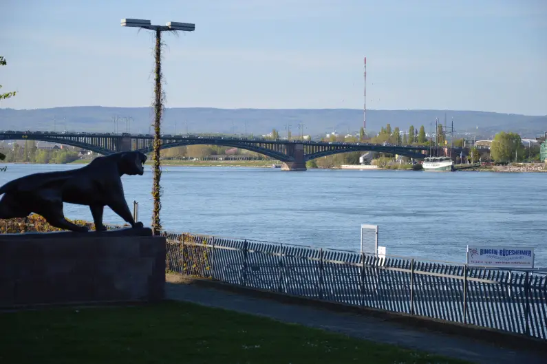 Rheinufer mit Tiger
