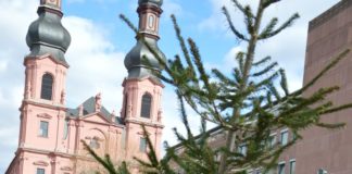 Weihnachtsbaumabfuhr erst am Samstag, 13. Januar 2018 – Abgabe auch auf Wertstoffhöfen