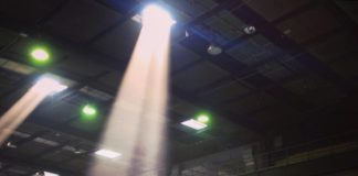 Phoenixhelden wollen Halle retten – Lied zur Rettung des Phoenix gesucht