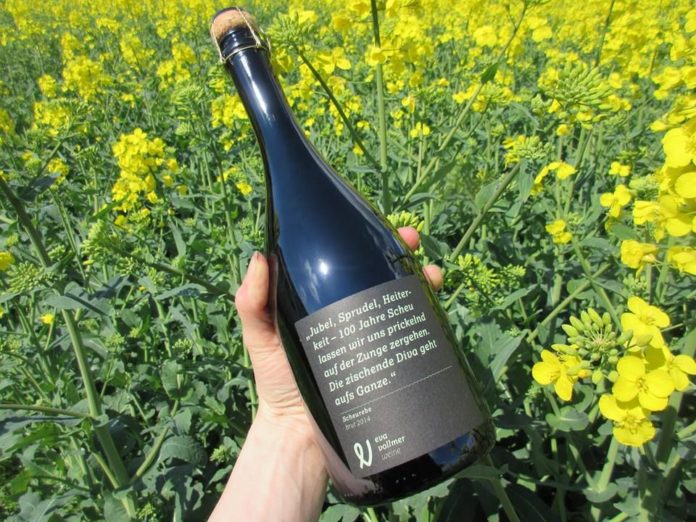 Jeder Schluck ein Geheimnis – Scheurebe feiert zum 100. Geburtstag Renaissance