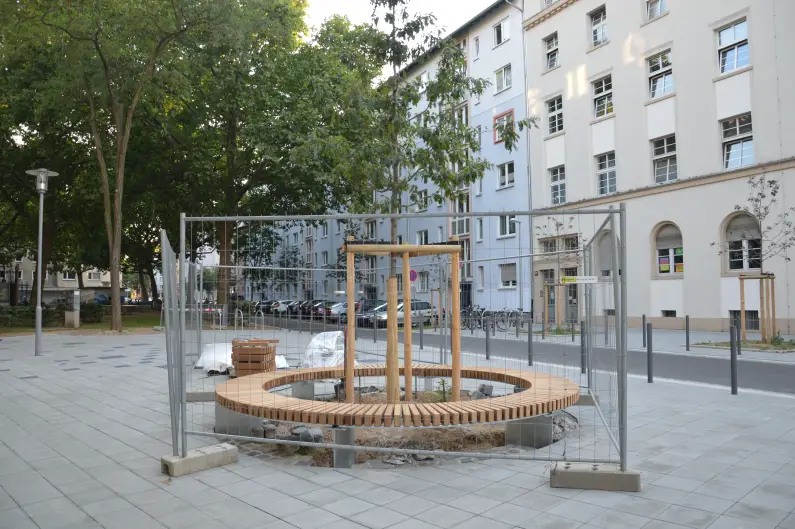 Sitzbank um Minibaum Lessingplatz - Foto: gik
