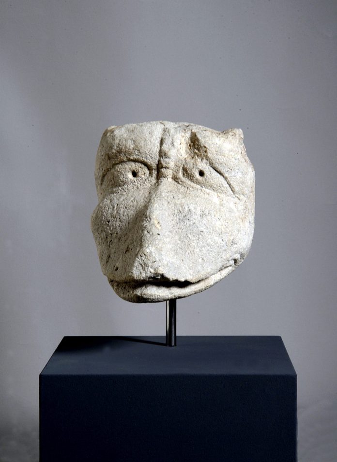 Urahn von Donald Duck gefunden: Forscher graben mittelalterliches Entenhausen aus – Ab 1. April steinerner Entenkopf im Landesmuseum zu sehen