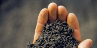 Anwalt zu Klärschlamm: Argument Schadensersatzforderungen „unzutreffend und unseriös“