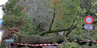 Sturm über Mainz sorgt für zahlreiche Einsätze – Mehrere ICE-Strecken umgeleitet – Typisches Aprilwetter wird seltener