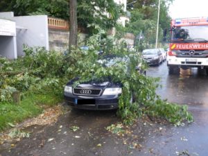 Wenn der Baum aufs Auto fällt, ist eine gute Autoversicherung gefragt. - Foto: Feuerwehr Mainz