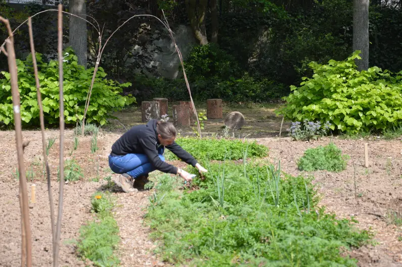Urban Gardening mit Frau im April 2014 - Foto gik