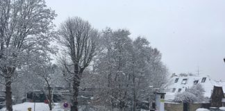 Eiskalte Zeiten: Warmlaufenlassen des Autos verboten – Schnee räumen und streuen Pflicht