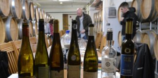 Erstes Vinocamp Rheinhessen: Gute Ideen zu Rheinhessen, tolle Kontakte und ganz viel Wein