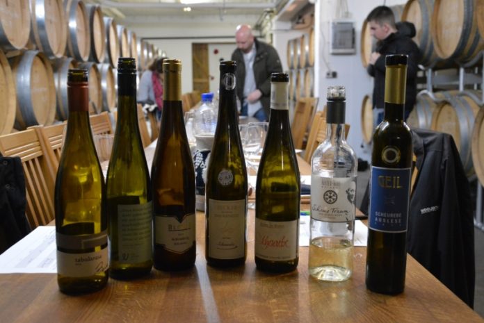 Erstes Vinocamp Rheinhessen: Gute Ideen zu Rheinhessen, tolle Kontakte und ganz viel Wein