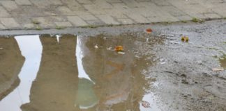 Unwetter über Mainz: 180 Einsätze, Keller und Tiefgaragen vollgelaufen