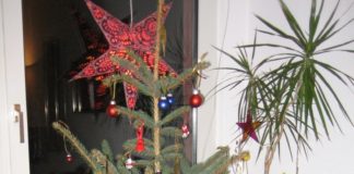 Weihnachtsbäume: Am 7. Januar kommt die Abfuhr
