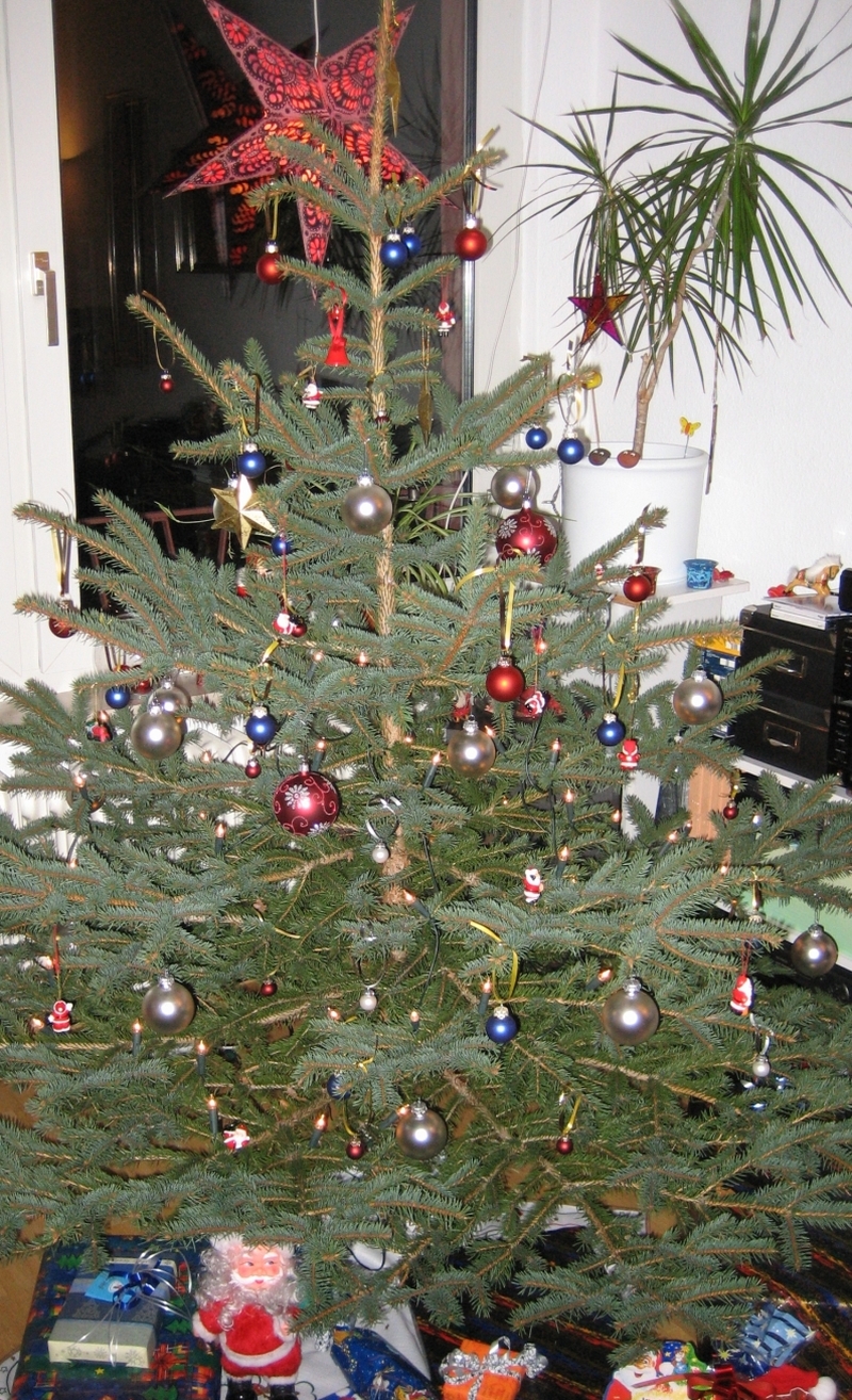 Ein kleiner, geschmückter Weihnachtsbaum steht in einer Mainzer Wohnung und wartet auf die Weihnachtsbaumentsorgung.