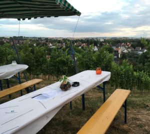 Das Weinfest im Kirchenstück in den Weinbergen oberhalb von Hechtsheim mit Blick ins Rheinhessische. - Foto: gik 