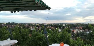 Hechtsheimer bei Online-Umfrage gegen neuen Stadtteil – Hechtsheimer SPD schwenkt um