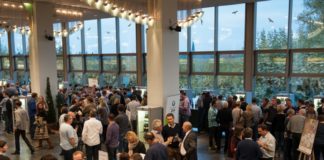 Kult-Weinforum Rheinhessen feiert 30. Geburtstag mit viel Scheurebe und tollen 2015ern