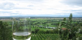 Deutsche Weinkultur soll Unesco-Weltkulturerbe werden – Entscheidung über Antrag fällt frühestens 2020