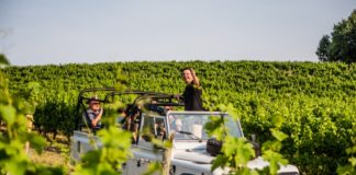 GWC&: Auf Weinsafari zwischen den Weinreben – Winzer Andreas Mohr bietet ungewöhnliches Weinseminar