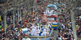 Weniger Wagen, mehr Blockordner, gebündelter Laufen: So will der Mainzer Carneval Verein den Rosenmontagszug kürzer machen