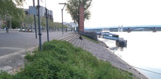 Passant rettet Person aus dem Rhein bei Mainz: Heldenhafter Einsatz am Fischtorplatz