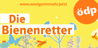 „Partei der Bürger“, Kampf für Grünflächen, guten ÖPNV, Mainz-Masterplan – ÖDP hofft am Sonntag auf Zugewinne