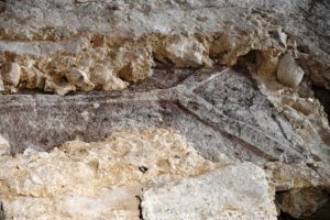 Ein steinerner Sarkophag aus dem frühen 11. Jahrhundert wurde bei Ausgrabungen in der Mainzer Johanniskirche gefunden. - Foto: EKHN