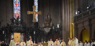 Frauen in Priesterämter – Bischof Kohlgraf: „Haben wir den Willen Jesu tatsächlich derart missverstanden?“