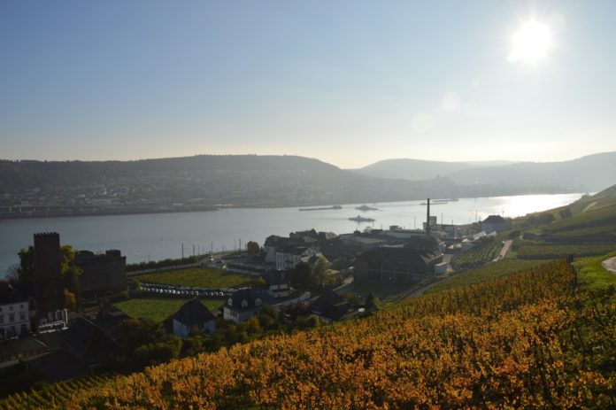 Rheinbrücke bei Bingen – Land bringt neue Machbarkeitsstudie auf den Weg