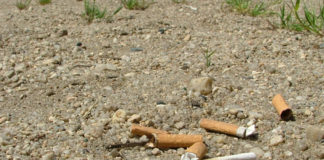 204 Millionen Zigaretten pro Tag: Deutsche Umwelthilfe fordert hohe Bußgelder für weggeworfene Kippen