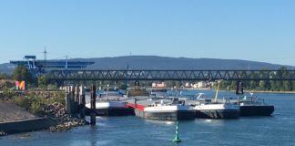 Grüne lehnen Resolution zu Schiffsanlegern ab – „Kein Widerspruch zu Grenzwerten“ – Sondersitzung Stadtrat am 14. Oktober