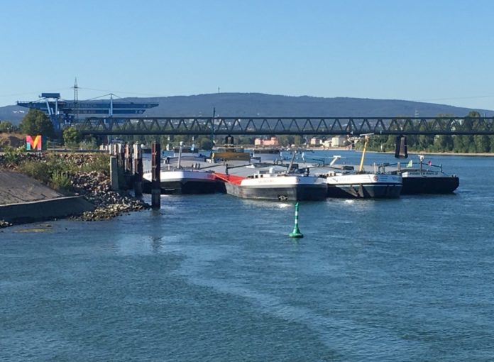 Grüne lehnen Resolution zu Schiffsanlegern ab – „Kein Widerspruch zu Grenzwerten“ – Sondersitzung Stadtrat am 14. Oktober