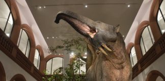 Osterferien in Mainz: Eintritt frei für Kinder in Museen und Schwimmbädern – Naturkunde, Gutenberg und Wasserspaß