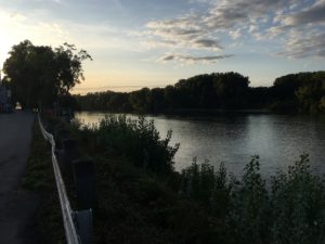 Rheinufer an der Ingelheimer Aue mit Blick auf den Seitenarm des Rheins bei Mainz. - Foto: gik