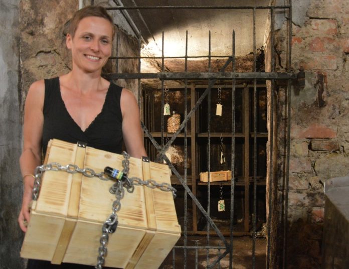 GWC& Grape Escape: Weingut Domhof schickt Gäste als Weinspione in den Barriquekeller