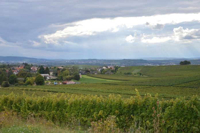 Land Rheinland-Pfalz legt Veto gegen Absenkung der Flughöhen ein – Luftraumpläne der DFS in der Kritik