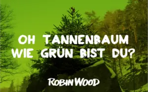 Oh Tannenbaum, wie grün bist Du wirklich? - Aktion Robin Wood 2017