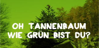 Ökologische Weihnachtsbäume in Mainz weiter rar – Bio-Bäume vereinzelt an Baumärkten oder in Hessen