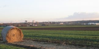 Landwirte demonstrieren in Mainz: 500 Traktoren erwartet – Große Staus rund um Ernst-Ludwig-Platz