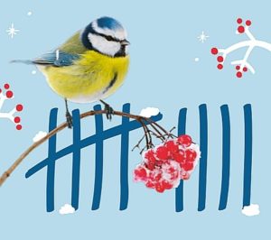 Logo des NABU für die "Stunde der Wintervögel" vom 10. bis 12. Januar 2020. - Screenshot: gik