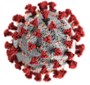 Das Coronavirus SARS-CoV-2 - Foto via Wikipedia von CDC Alissa Eckert