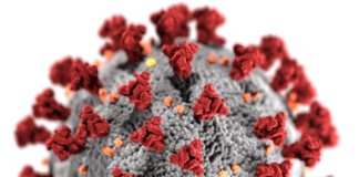 Erster Coronavirus-Fall in Mainz – Klinik in Groß-Gerau richtet „Drive-In“ ein: „Die Patienten sind stark verunsichert“