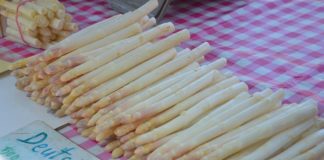 Wer erntet Spargel, Erdbeeren & Co? – Nach Einreiseverbot für Erntehelfer rollt Hilfswelle via Internetplattformen