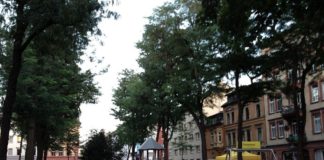 Shutdown: Mainzer Polizei muss Goethepark schließen – Alle Spielplätze und Sportstätten gesperrt