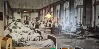 Coronavirus: 435 Infizierte in Rheinland-Pfalz – Mainzer Polizeipräsident Reiner Hamm infiziert