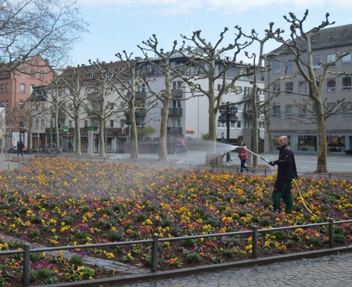 Nicht gießen! Mainzer Stadtwerke bitten: Verzichtet auf Gartenbewässerung am Dienstag – Bauarbeiten an Wasserleitung