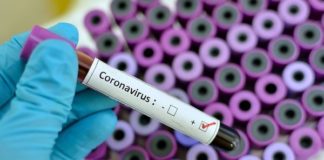 Wirrwarr um Coronatests für Reiserückkehrer – Rheinland-Pfalz will Teststationen an Grenzen einrichten